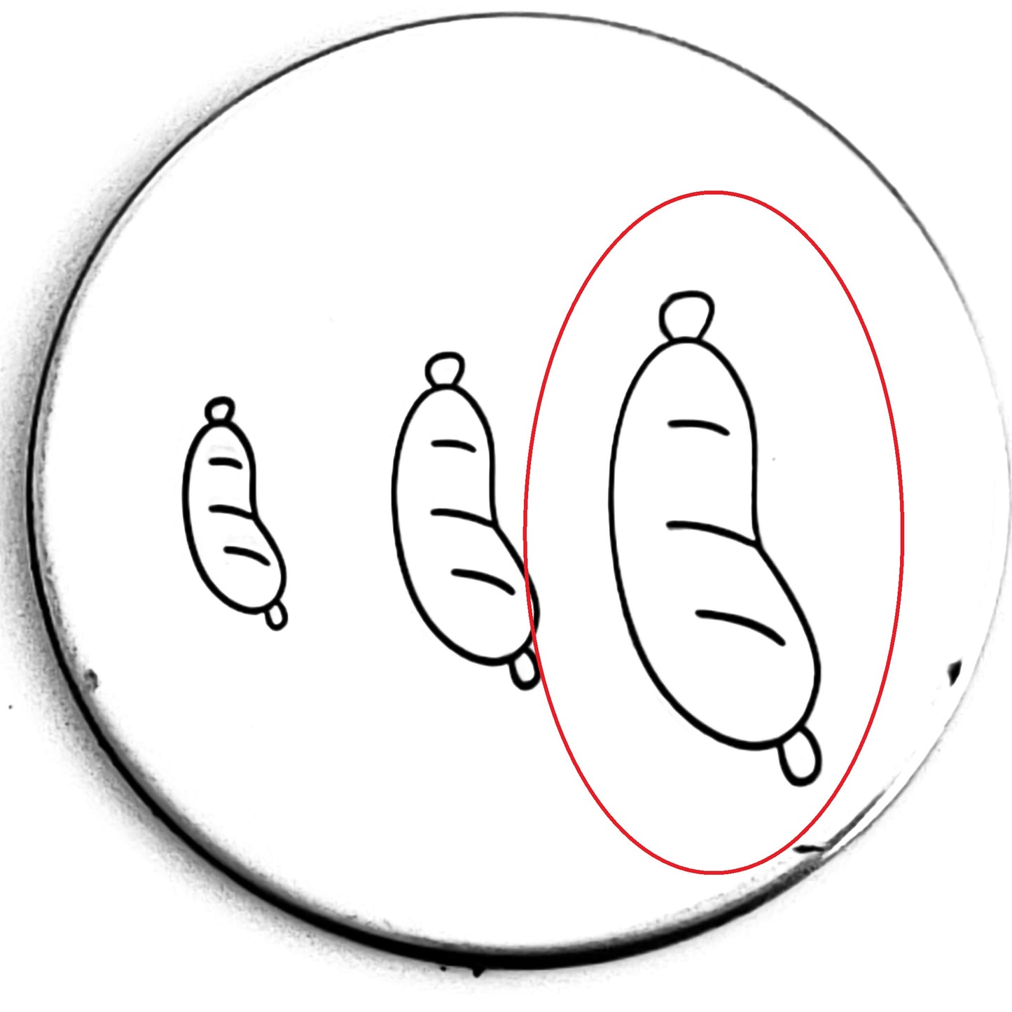 Sausage
