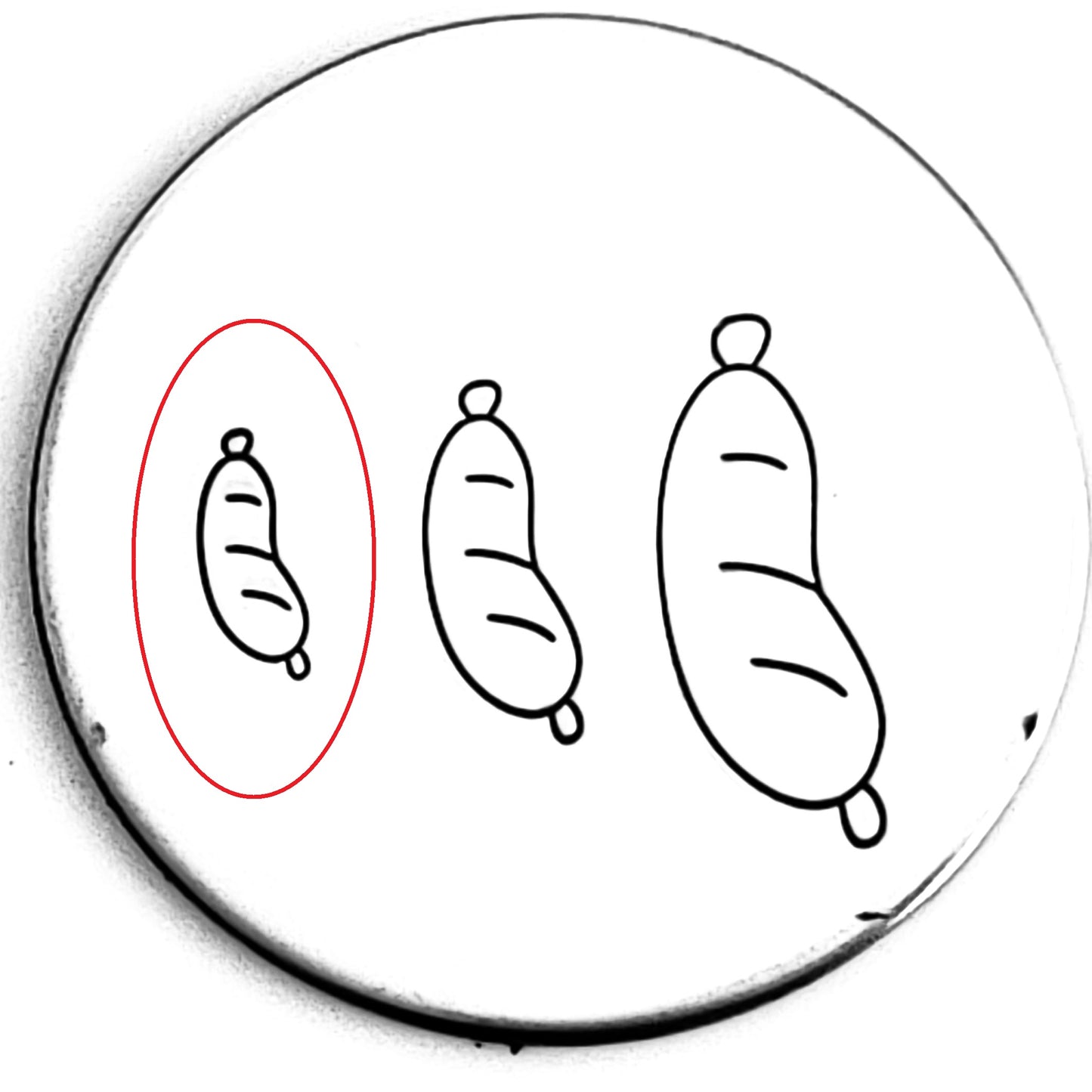 Sausage
