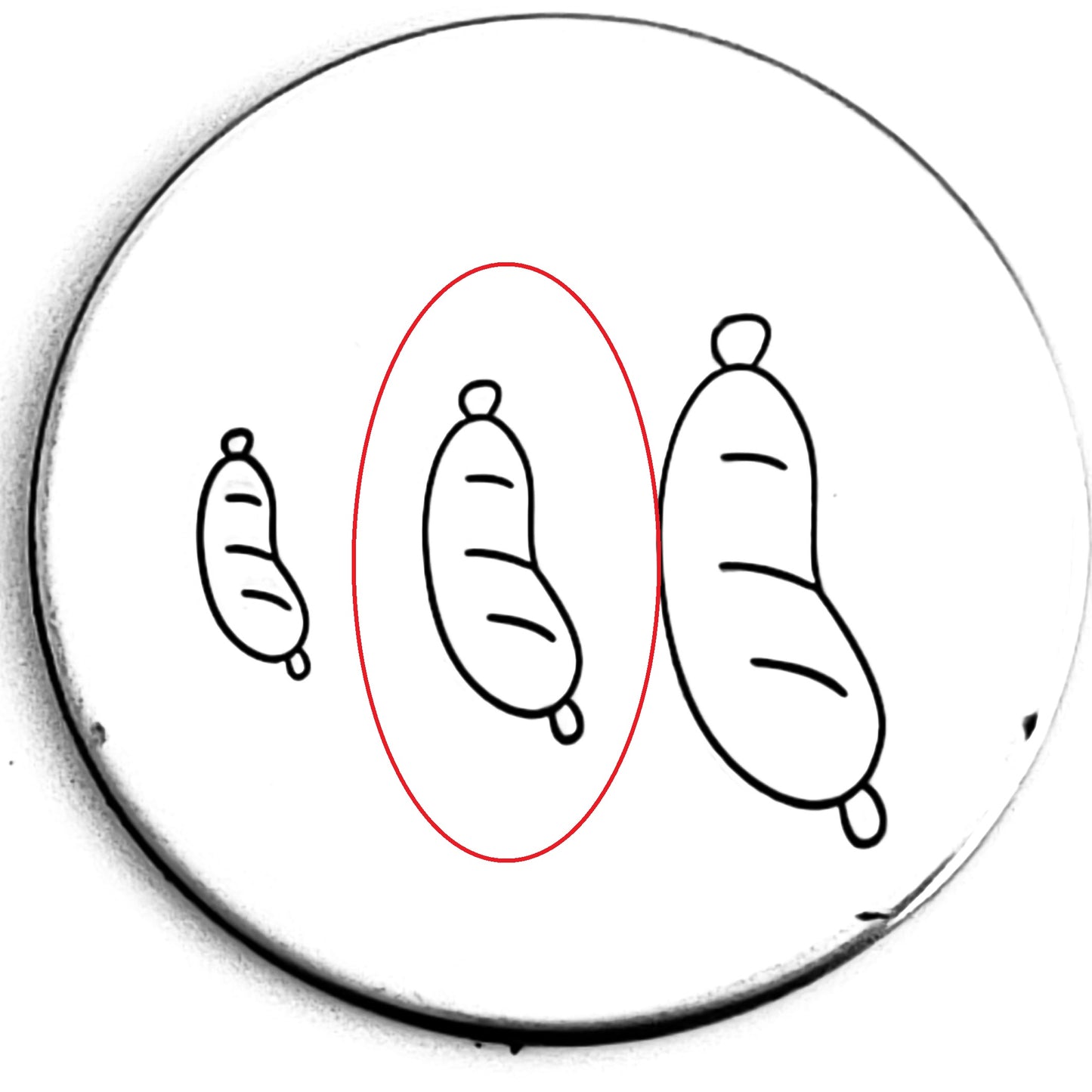 Sausage