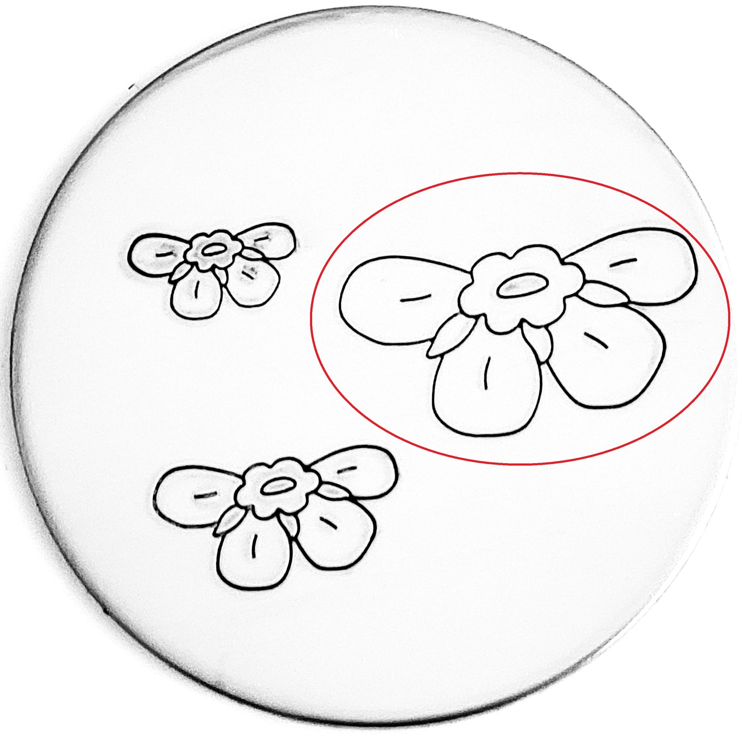 STEMLESS Forget Me Not #02