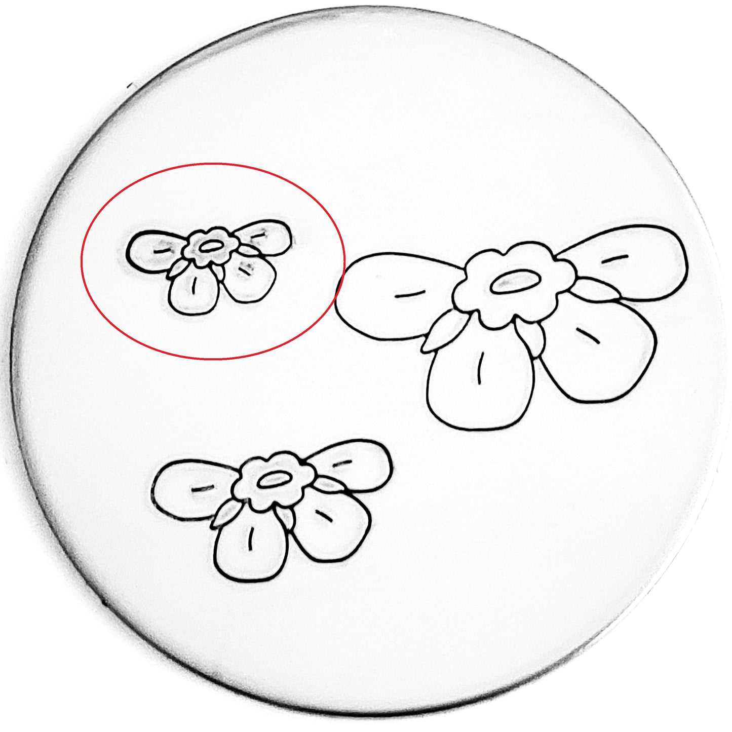 STEMLESS Forget Me Not #02