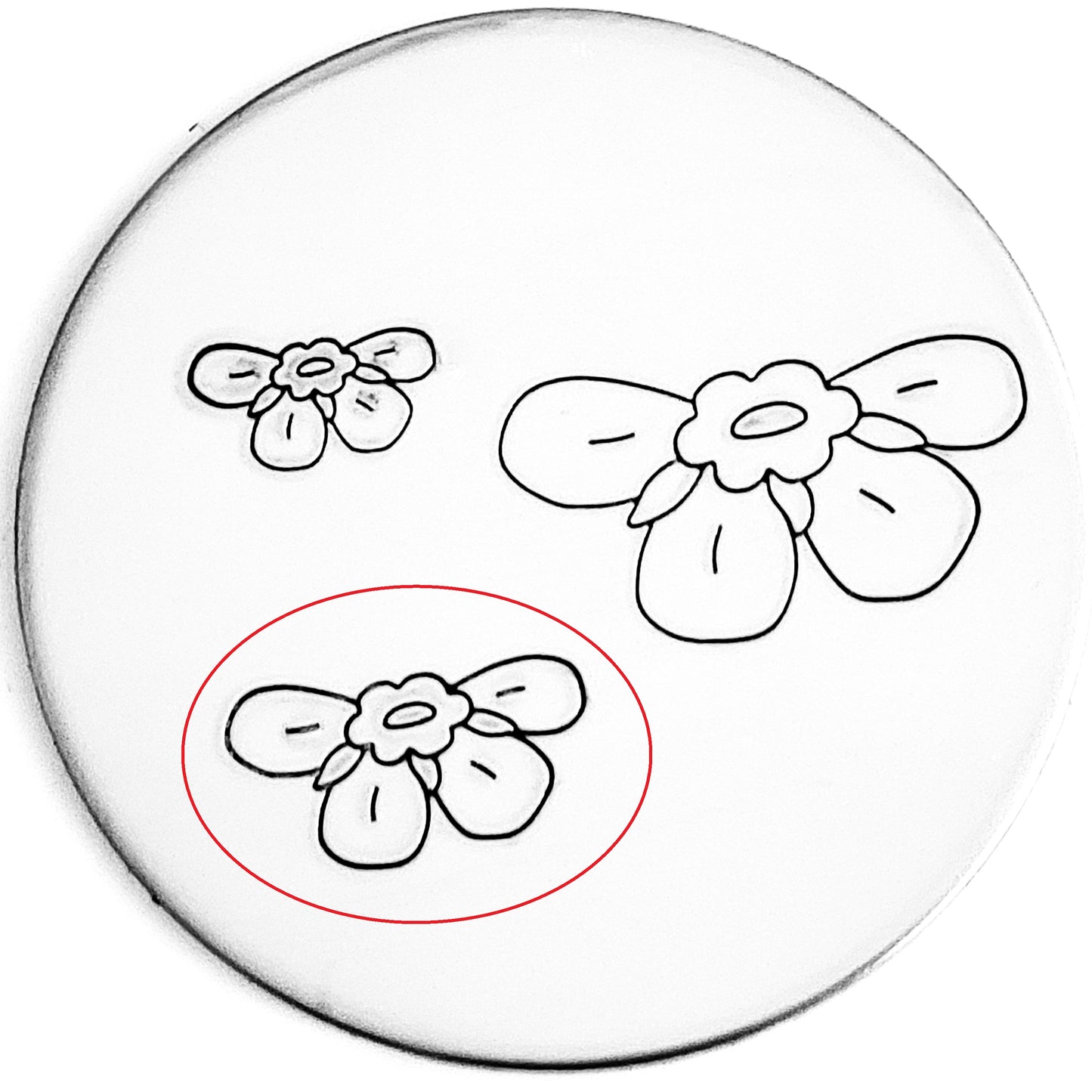 STEMLESS Forget Me Not #02